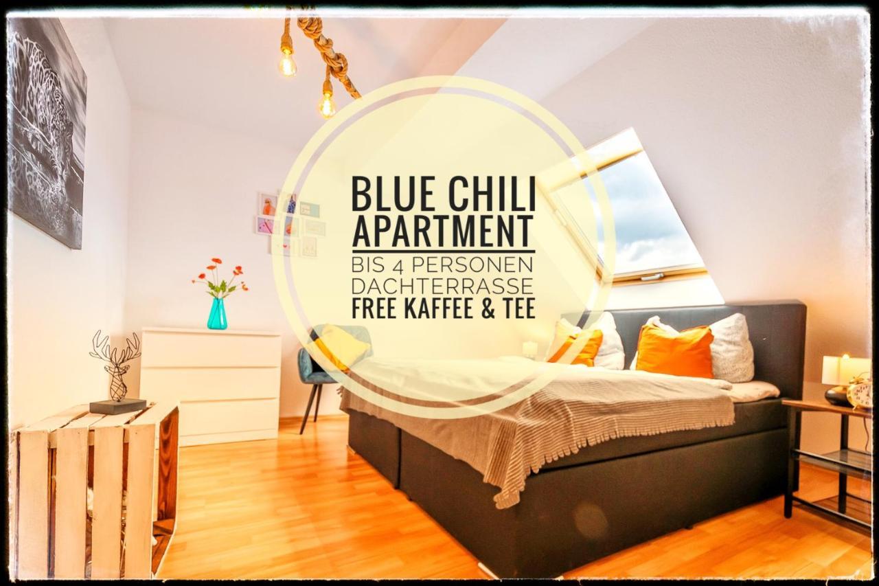 Blue Chili 19 Schoene Dachterasse Zentral Modern Bis 4 Pers Μαγδεβούργο Εξωτερικό φωτογραφία